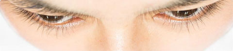 Celebrity Lashes Celebrity Lashes